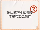 乐山软考中级需要年审吗怎么操作