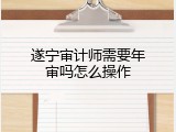 遂宁审计师需要年审吗怎么操作