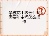 攀枝花中级会计师需要年审吗怎么操作