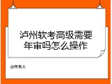 泸州软考高级需要年审吗怎么操作