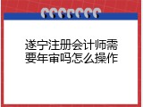 遂宁注册会计师需要年审吗怎么操作