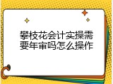 攀枝花会计实操需要年审吗怎么操作