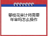 攀枝花审计师需要年审吗怎么操作