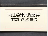 内江会计实操需要年审吗怎么操作