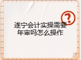 遂宁会计实操需要年审吗怎么操作