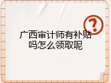 广西审计师有补贴吗怎么领取呢