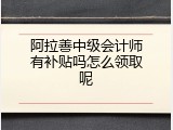 阿拉善中级会计师有补贴吗怎么领取呢