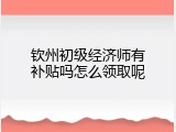 钦州初级经济师有补贴吗怎么领取呢