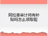 阿拉善审计师有补贴吗怎么领取呢