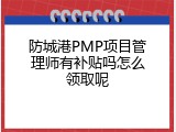 防城港PMP项目管理师有补贴吗怎么领取呢