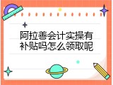 阿拉善会计实操有补贴吗怎么领取呢