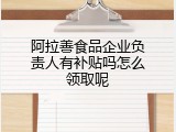 阿拉善食品企业负责人有补贴吗怎么领取呢