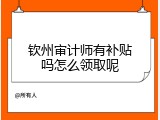 钦州审计师有补贴吗怎么领取呢