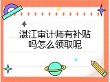 湛江审计师有补贴吗怎么领取呢