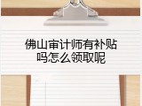 佛山审计师有补贴吗怎么领取呢