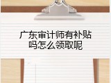广东审计师有补贴吗怎么领取呢