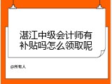 湛江中级会计师有补贴吗怎么领取呢
