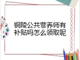 铜陵公共营养师有补贴吗怎么领取呢