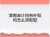 淮南审计师有补贴吗怎么领取呢