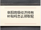 阜阳高级经济师有补贴吗怎么领取呢