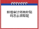 蚌埠审计师有补贴吗怎么领取呢