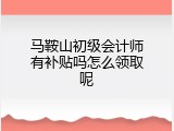 马鞍山初级会计师有补贴吗怎么领取呢