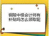 铜陵中级会计师有补贴吗怎么领取呢
