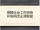 铜陵社会工作师有补贴吗怎么领取呢