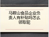 马鞍山食品企业负责人有补贴吗怎么领取呢