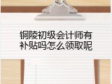 铜陵初级会计师有补贴吗怎么领取呢