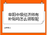 阜阳中级经济师有补贴吗怎么领取呢