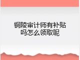 铜陵审计师有补贴吗怎么领取呢