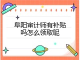 阜阳审计师有补贴吗怎么领取呢