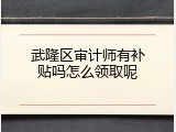 武隆区审计师有补贴吗怎么领取呢