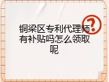 铜梁区专利代理师有补贴吗怎么领取呢