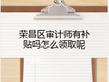 荣昌区审计师有补贴吗怎么领取呢