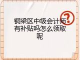 铜梁区中级会计师有补贴吗怎么领取呢