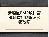 武隆区PMP项目管理师有补贴吗怎么领取呢