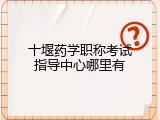 十堰药学职称考试指导中心哪里有
