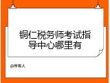 铜仁税务师考试指导中心哪里有