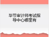 毕节审计师考试指导中心哪里有