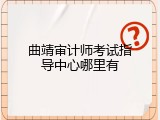 曲靖审计师考试指导中心哪里有