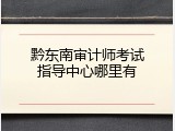黔东南审计师考试指导中心哪里有