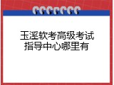 玉溪软考高级考试指导中心哪里有