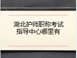 湖北护师职称考试指导中心哪里有