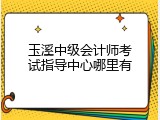 玉溪中级会计师考试指导中心哪里有