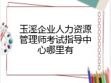 玉溪企业人力资源管理师考试指导中心哪里有