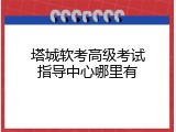 塔城软考高级考试指导中心哪里有
