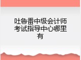 吐鲁番中级会计师考试指导中心哪里有