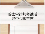 哈密审计师考试指导中心哪里有